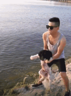 “狗狗都会游泳”这句话真是要狗命，这些狗狗根本不适合游泳