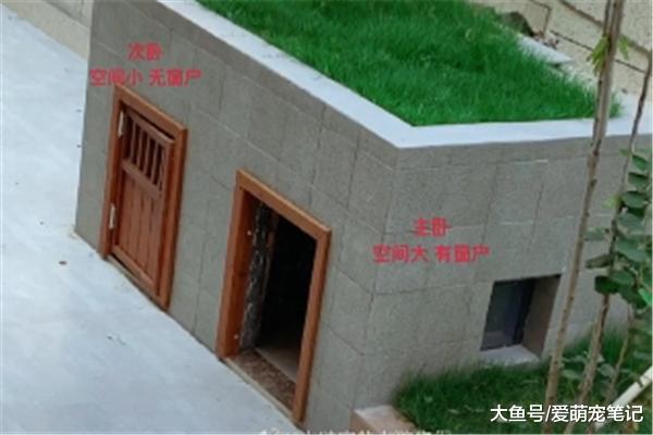 主人给三只狗狗盖个别墅，却因“装修”而走红，网友们纷纷点赞