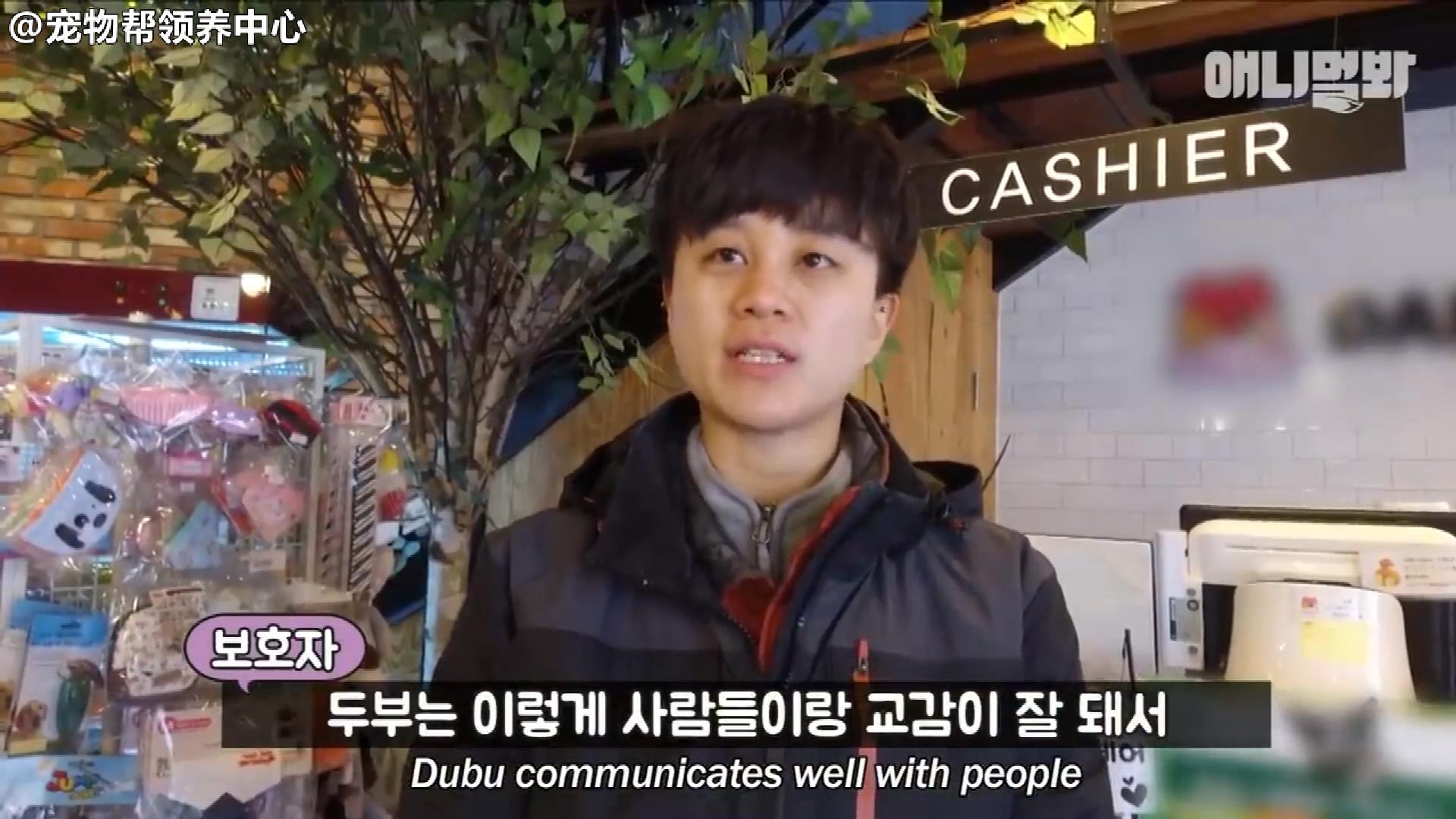 小狗子追求女神半年多，丈母娘发话了，你家底厚实吗？