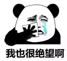 把狗遛累了是种啥体验？是人遛狗还是狗遛人，简直傻傻分不清楚