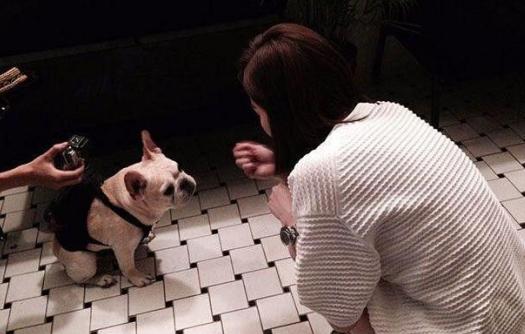 带你看看王心凌的家，客厅墙壁全刷成粉红色，甜心教主真当之无愧