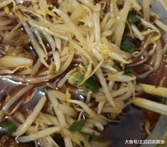 男子订酸辣粉外卖备注：粉不要给我放豆芽，酸菜，收到后他就懵了