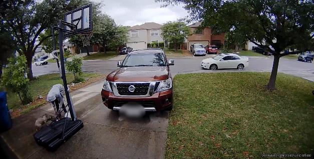 狗狗摇尾巴看主人，只是出门散步，为什么要绑我在路边？