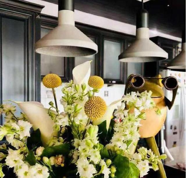 ?参观殷桃现实的豪宅，家里到处都是名贵花卉，居住环境像森林