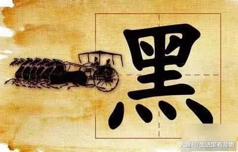 這幾大姓氏，十分少見又難取名字，不經意間就得罪人！