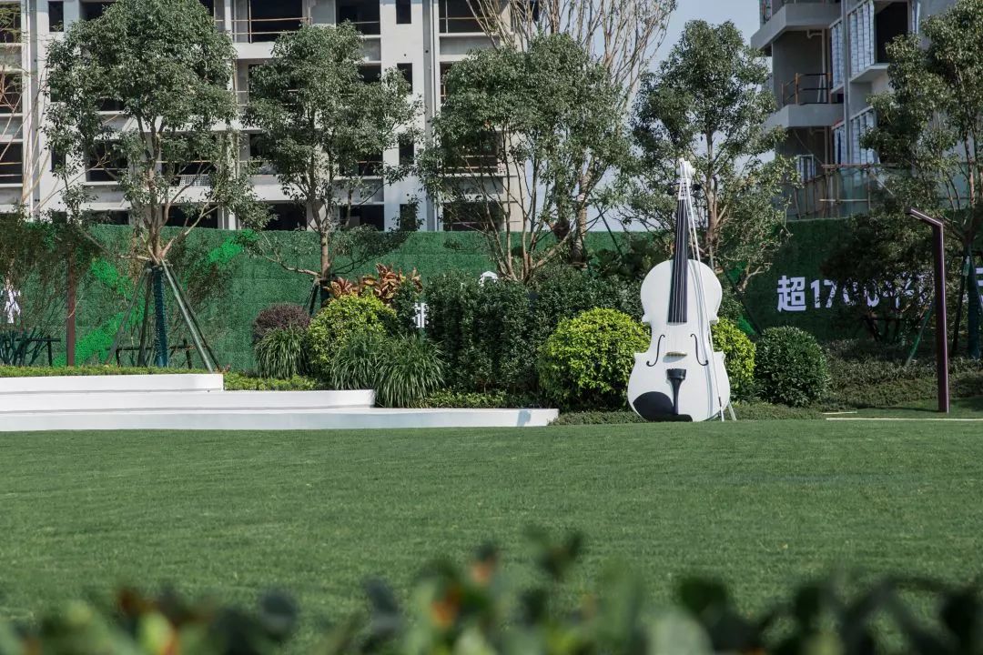 他在这里找到了归属感，从此在深圳风生水起