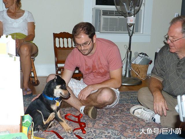 狗狗的社会化训练，不仅仅遛狗交朋友就行，主人要注意这4点