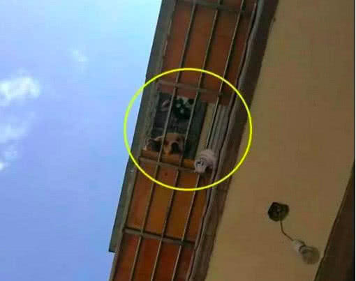 网友在阳台吃面条，发现楼上有水滴下来，抬头一看直接崩溃了！