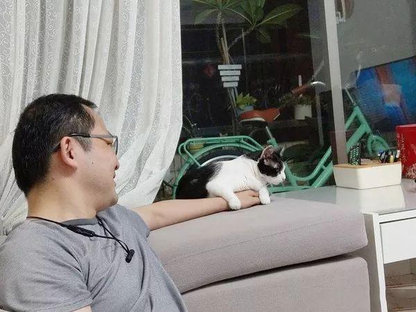 他警告妻子“怀孕不能养猫”，最后自己却成了标准猫奴