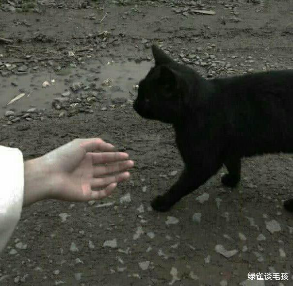 男票对你有3个下意识的动作，肯定是拿你当“媳妇”