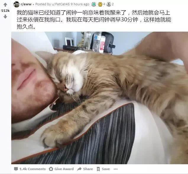 我家的猫自带闹钟叫醒功能，而别人家的猫居然还提供这样的服务…