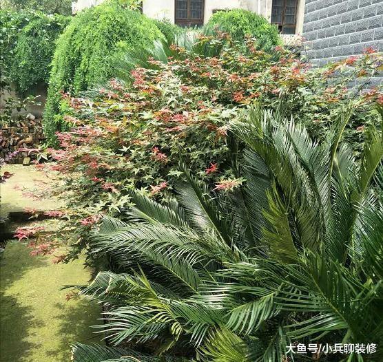 去男友乡下老家，他说的茅草房原来是别墅，感觉自己赚翻了