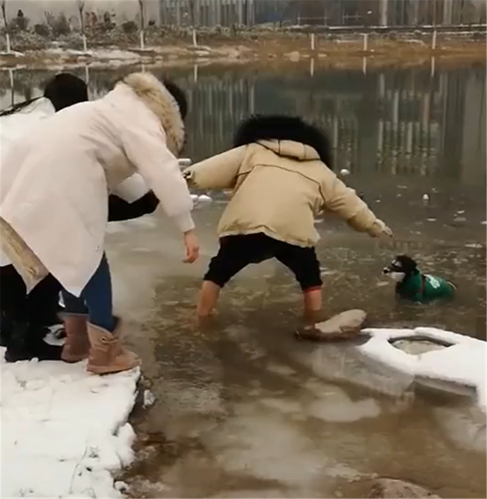 小狗掉进冰窟窿, 站在水里不知所措, 好心人的举动暖心了……