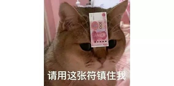 报告老板！我之所以迟到，都是因为被猫封印了！