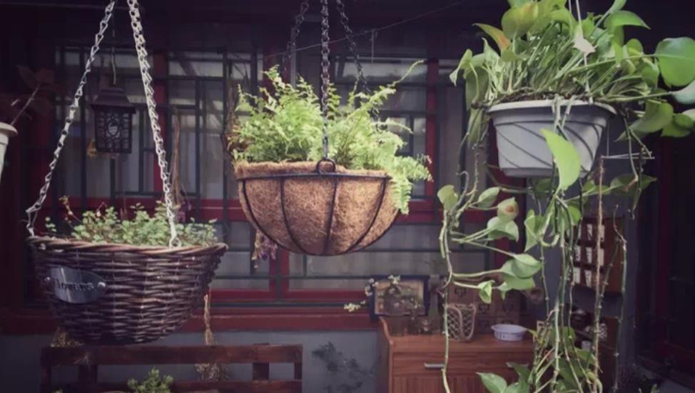 为女儿，她把旧平房爆改成“花园小屋”！退租时房东舍不得！