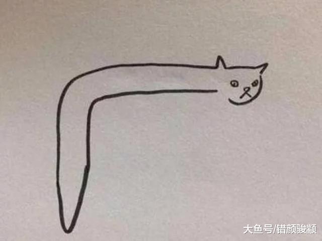 女孩画的猫十分神似，老师给了零分，看到猫照片后，老师哑口无言