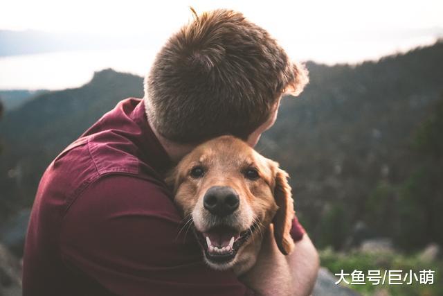 紧急情况随时发生，别等最后一刻，才想起救狗狗就迟了！