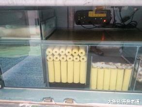 细菌屋和陶瓷环已经过时了，那谁能告诉我什么滤材是最新的？