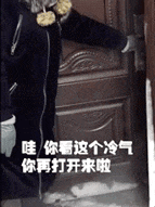 冬天, 千万别看北方人的朋友圈! 哈哈哈哈哈哈哈哈哈哈