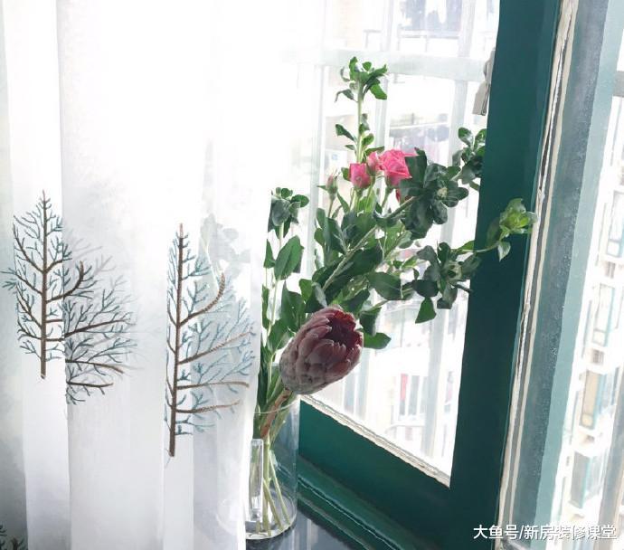 好養活還功能強大的綠植，一定要看過這4種再說話！