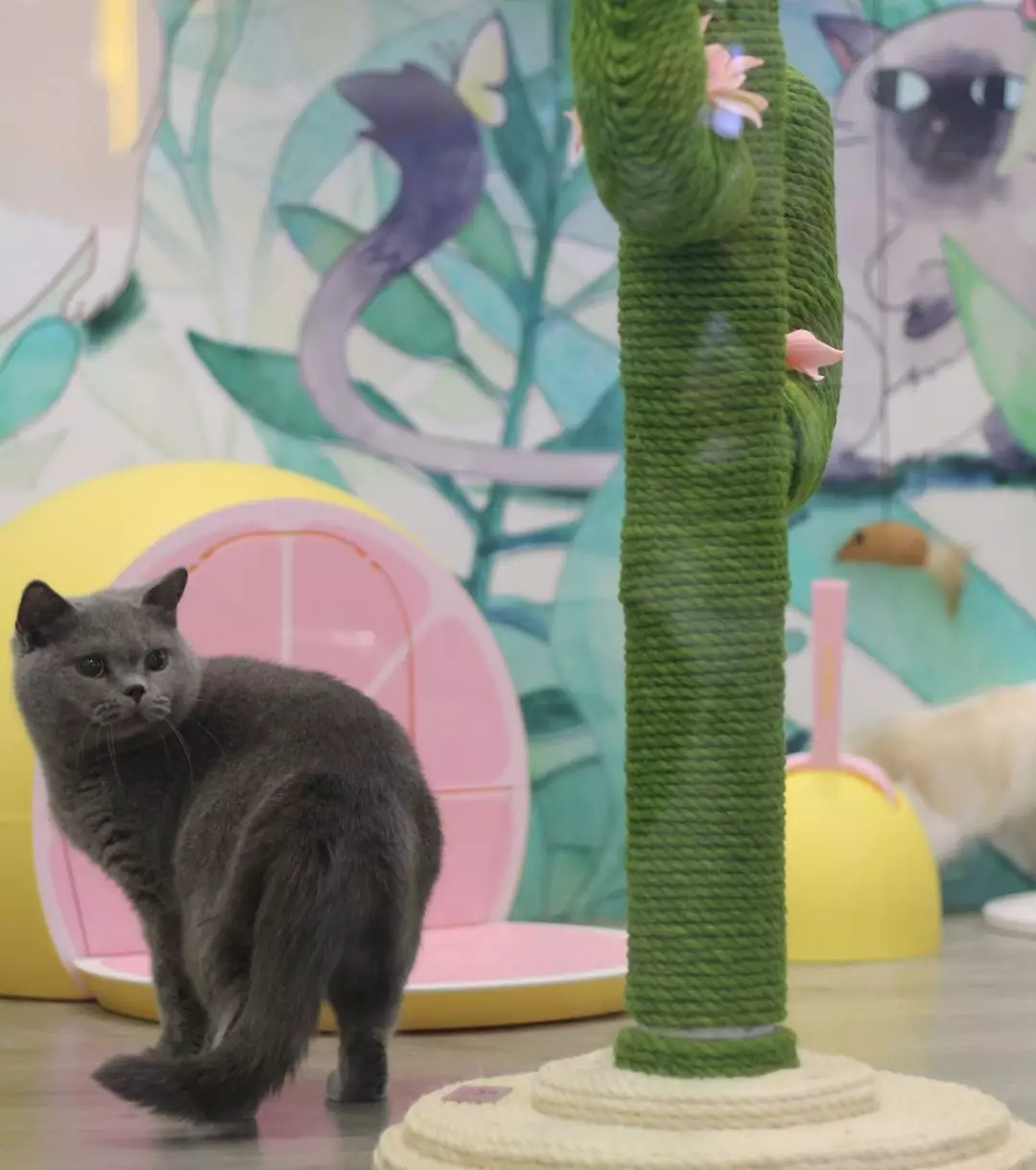 最灵验的“锦鲤”就是努力，恭喜荣喜食品有限公司再获殊荣！