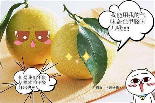 ?洋葱能除甲醛？专家辟谣！要想除甲醛，三个方法不能少