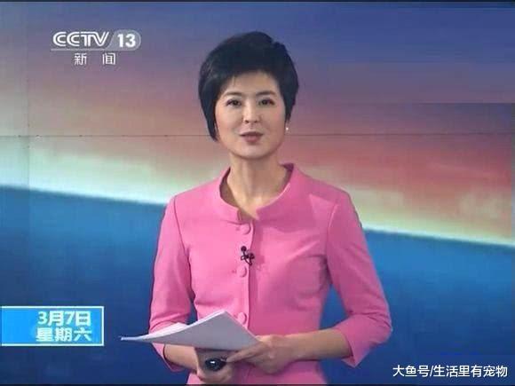 曾經的央視美女名嘴，放棄鐵飯碗，辭職后成金融界大佬！