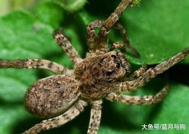 男子发现一个硬币大小的洞口，走进一瞧发现里面冒出金色的光