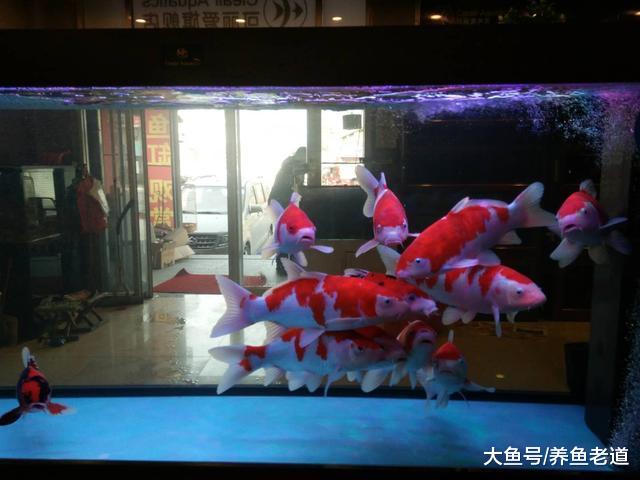 鱼缸的水质不好需要改动滤材，我们应该动哪里，不应该动哪里？