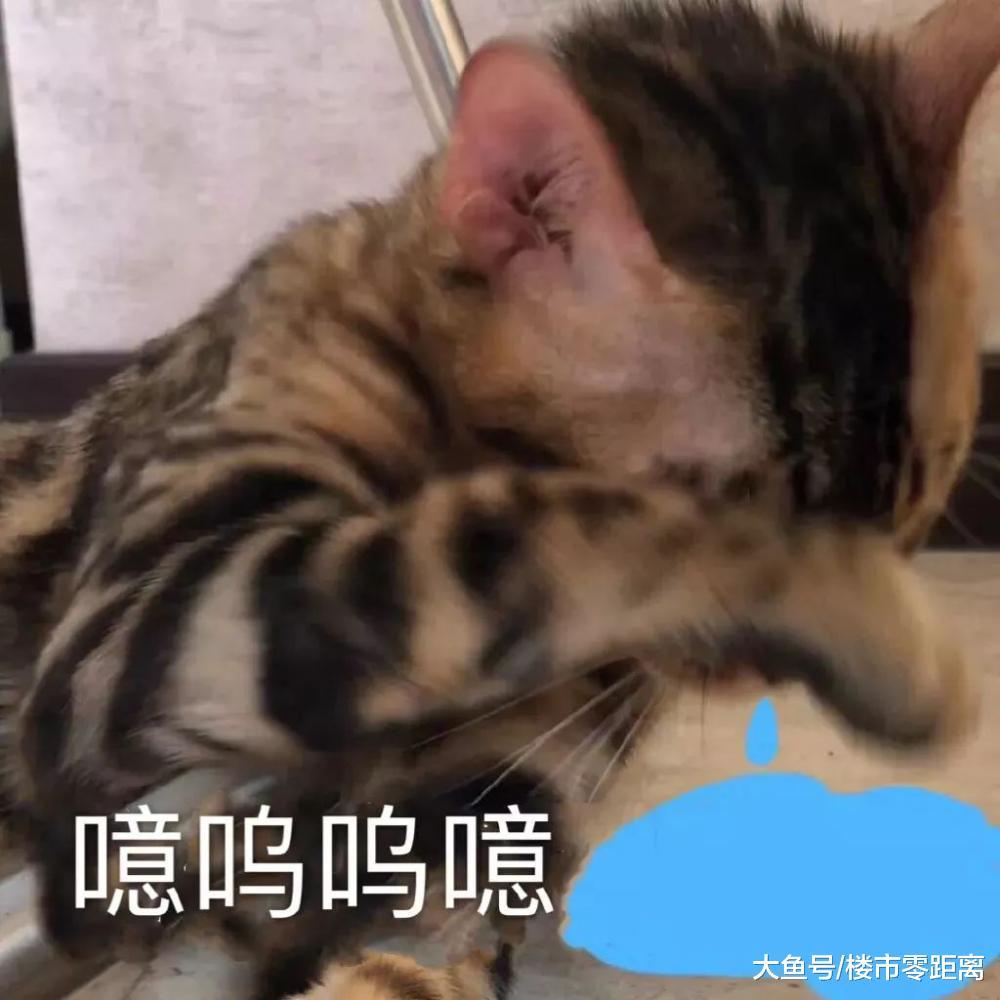 “申报个税抵扣, 房子就不租了! ”房东: 我也很委屈...