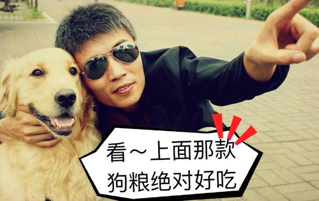 一只纯种的金毛犬, 具有以下“6个特征”, 你家的是串串吗?