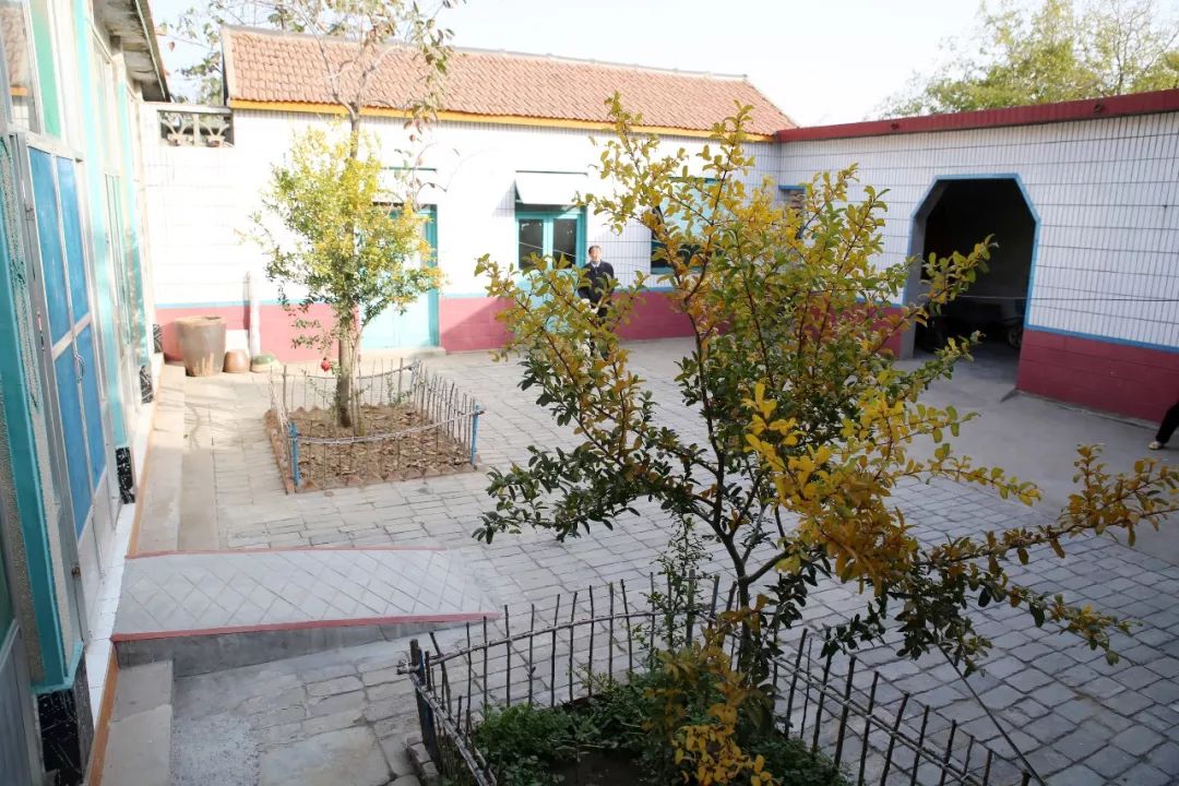 台子镇：乡村“庭院”焕“新颜”