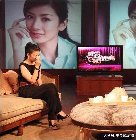 同样是出演小燕子，赵薇红遍亚洲，而她却只能靠摆地摊勉强度日