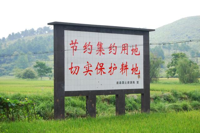 农村大量耕地抛荒让人心痛，原因是这5点，是该改变的时候了