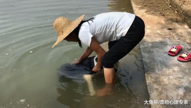 老妈在河边给狗洗澡，总觉得哪里怪怪的：莫名觉得似曾相识