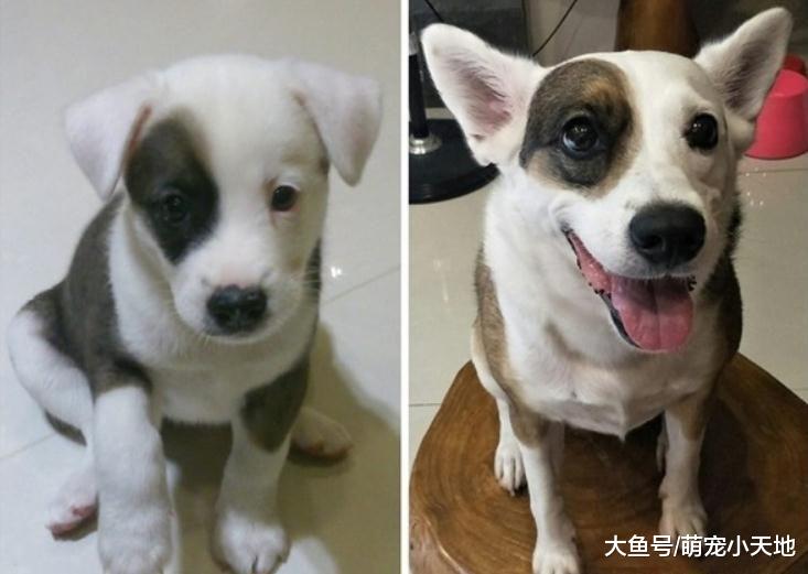 米克斯惊喜包，长大后黑轮褪色变渐层烟熏妆