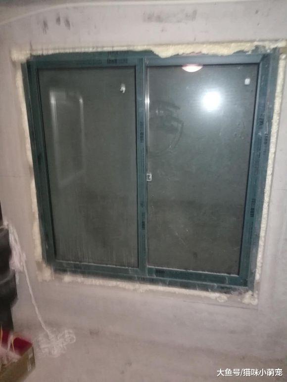 男子破墙营救困在井里的流浪猫, 救上来之后慌了!