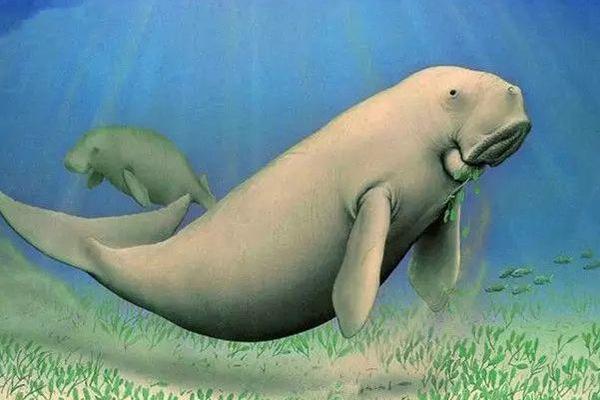 地球上10大濒危物种，白鳍豚和中华鲟均上榜，你见过吗？