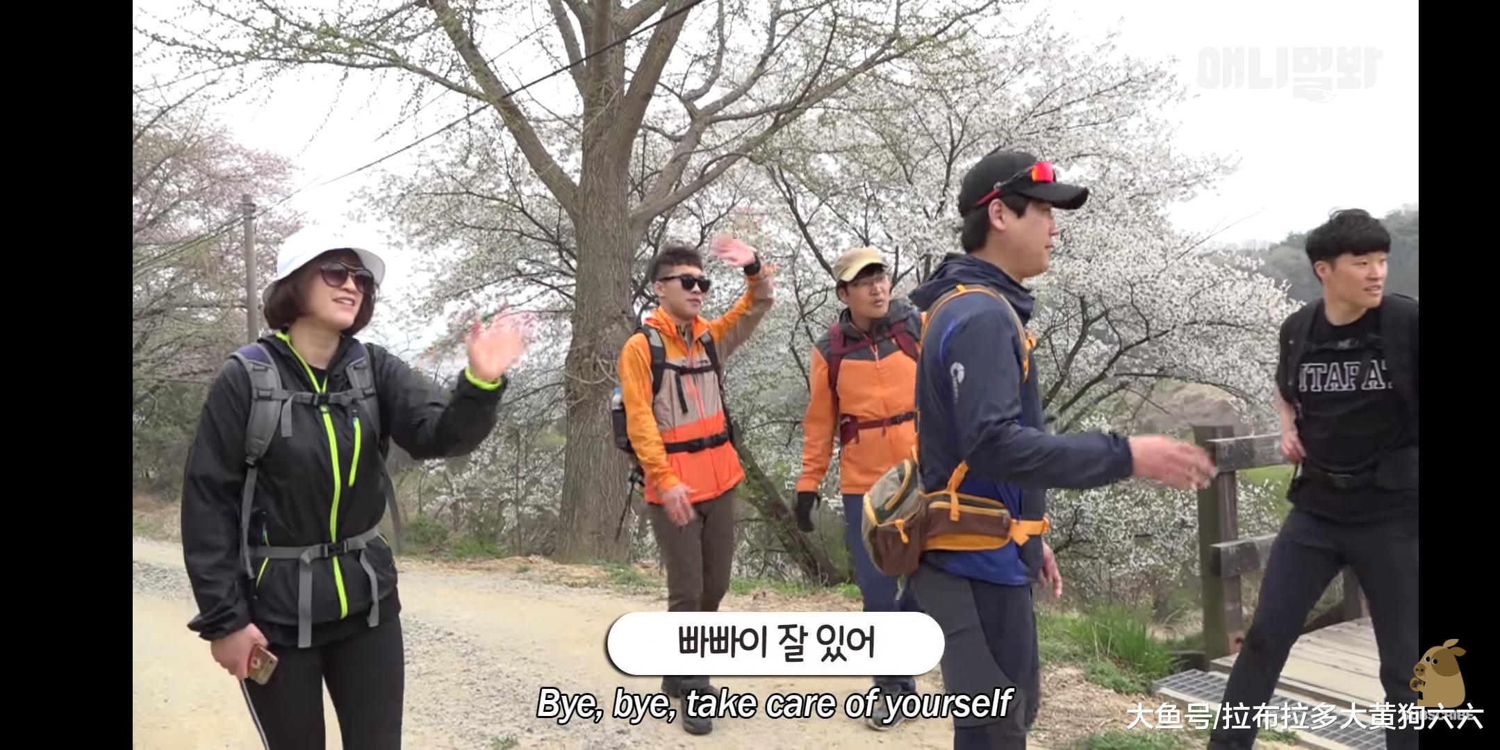 本以为碰上猛兽，结果是专业登山导游拉布拉多，一只包下山头的狗