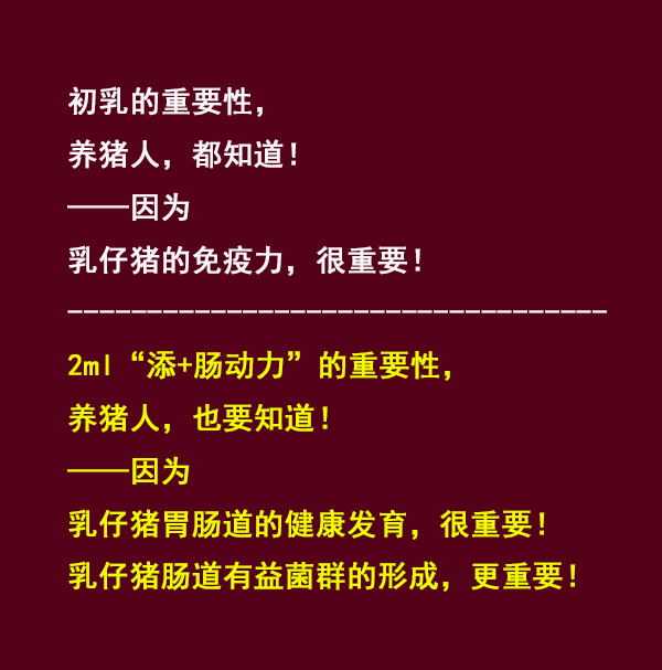 出生14天售价1500元的小猪，如何不得病长得快？