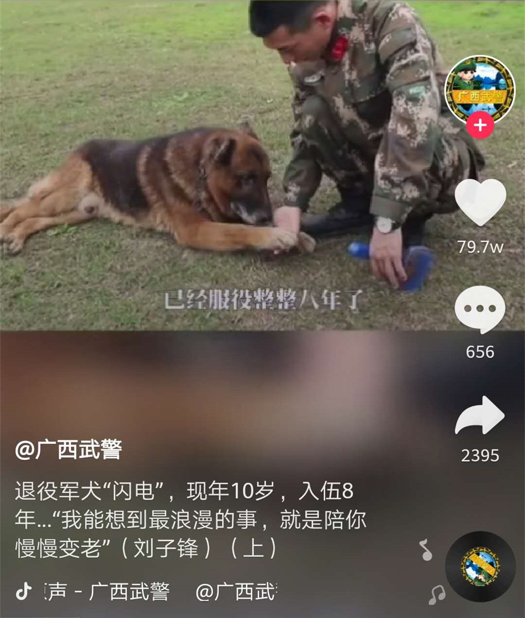 退役军犬偷溜出门，看着它步履蹒跚的样子，战友哽咽了