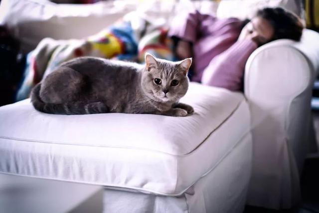 横扫佛山新城！首付65万起3+1房，十大魔鬼细节赞爆