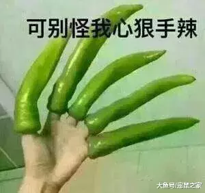 出血熱高發季來了，荷蘭豬有危險了
