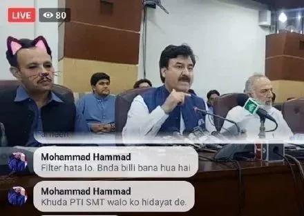 巴基斯坦网络直播开会，忘了关猫咪滤镜，好可爱哦