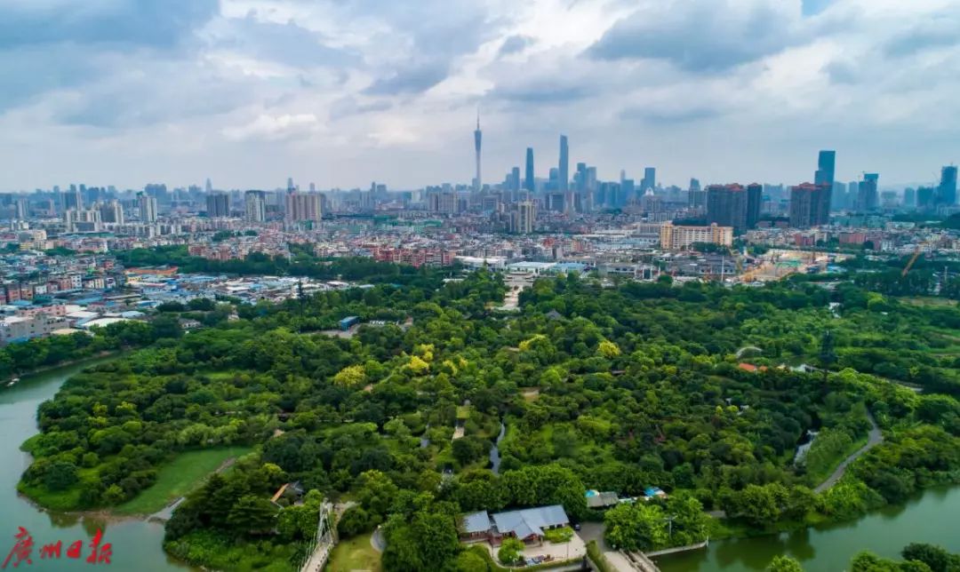 “读懂广州 读懂中国”广州是如何成为中国“样板间”的？