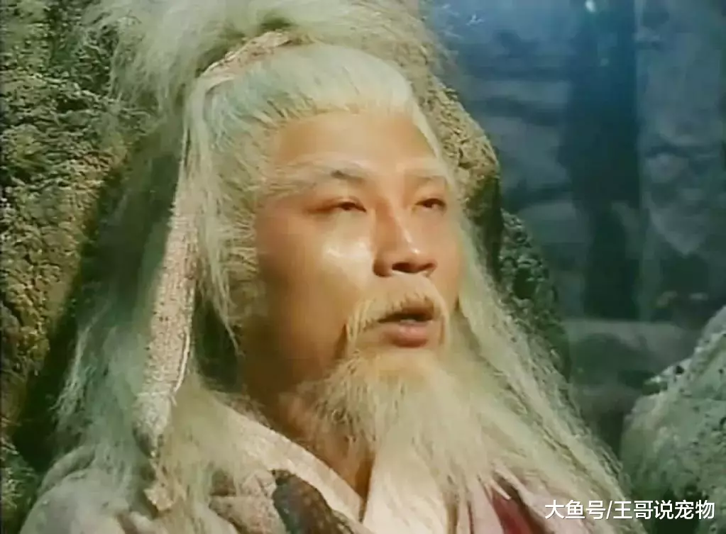 双手互搏很强大, 金庸却暗示1个重大缺陷, 周伯通差点因此丧命!