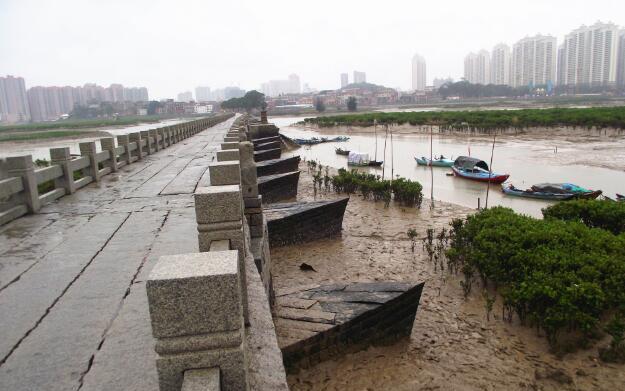 千年前他修桥时故意混入一种生物, 却促使这座天下第一桥千年不倒