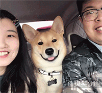 新晋两位奥斯卡影帝得主