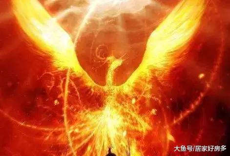 北湖，就是一只火鳳凰。