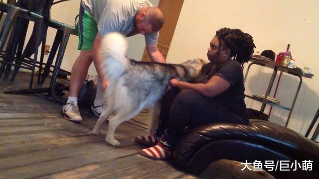 主人跟狗狗关系怎么样，摸它这6个地方，狗狗不咬代表超级喜欢你